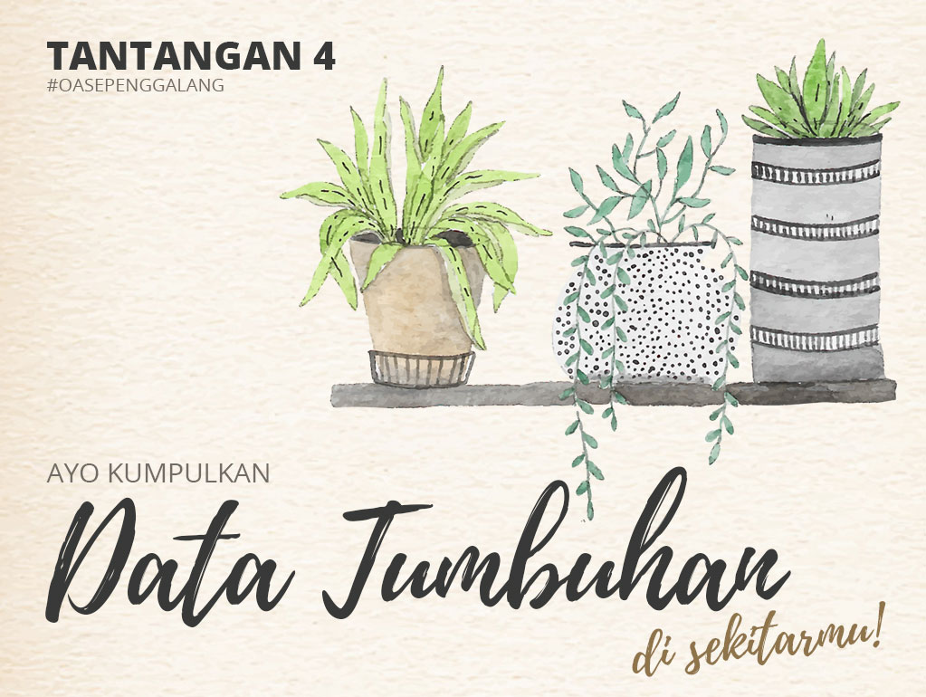 tantangan4-tumbuhan